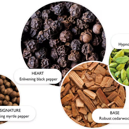 RE-CHARGE BLACK PEPPER EAU DE PARFUM