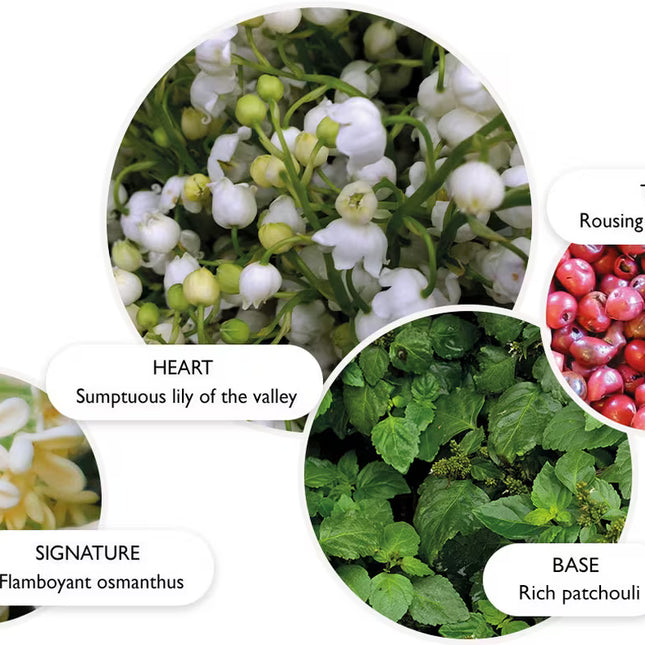 FIERY PINK PEPPER EAU DE PARFUM