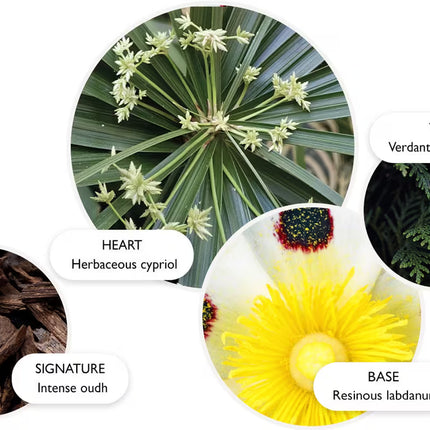 LABDANUM DUSK EAU DE PARFUM