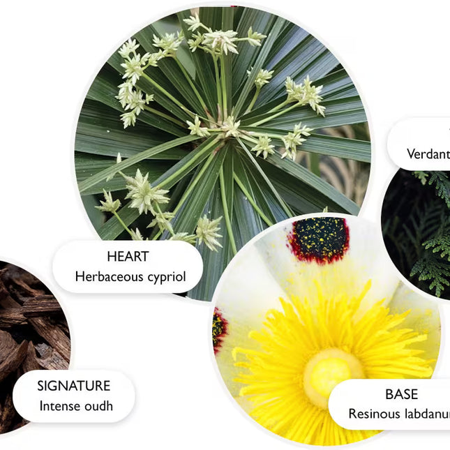 LABDANUM DUSK EAU DE PARFUM