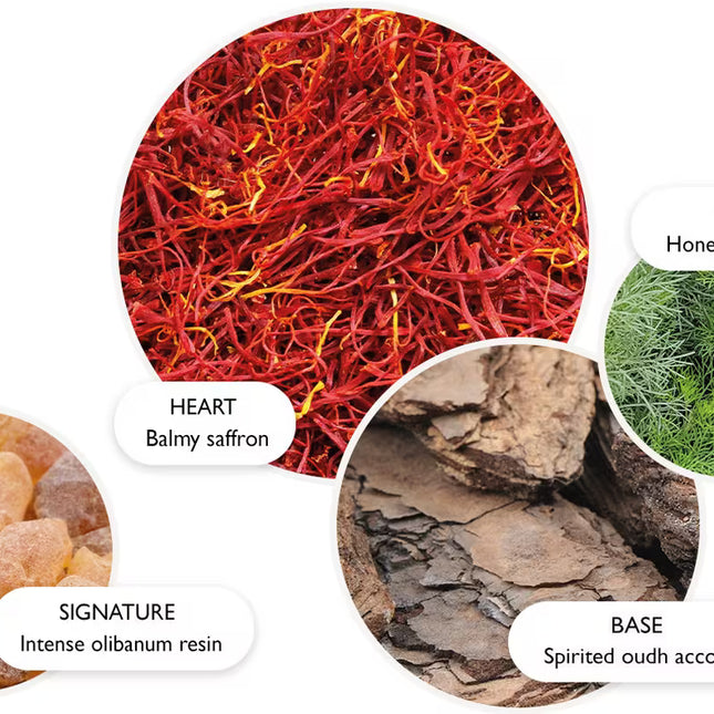 MESMERISING OUDH ACCORD & GOLD EAU DE PARFUM