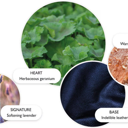 DARK LEATHER EAU DE PARFUM