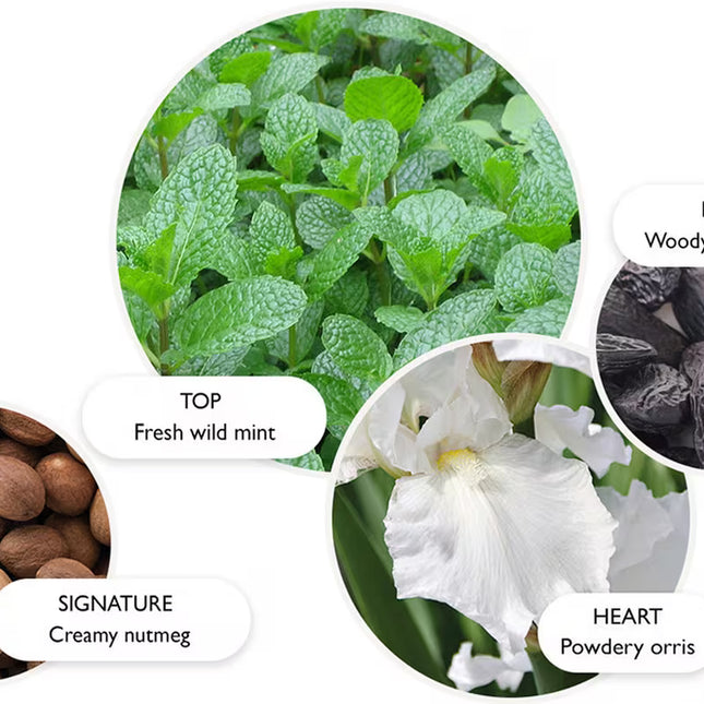 WILD MINT & LAVANDIN EAU DE PARFUM