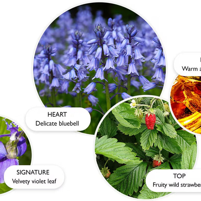 BLUEBELL & WILD STRAWBERRY EAU DE PARFUM