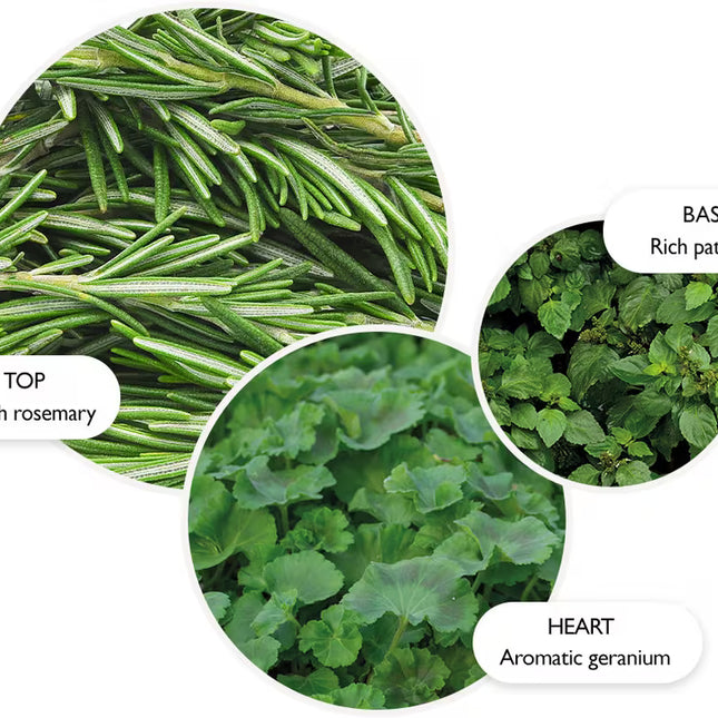 REVIVING ROSEMARY PERFUME OIL ROLL-ON