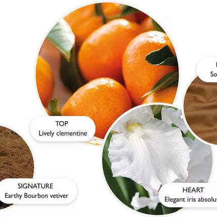 SUNLIT CLEMENTINE & VETIVER EAU DE PARFUM